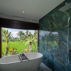 Premier Room